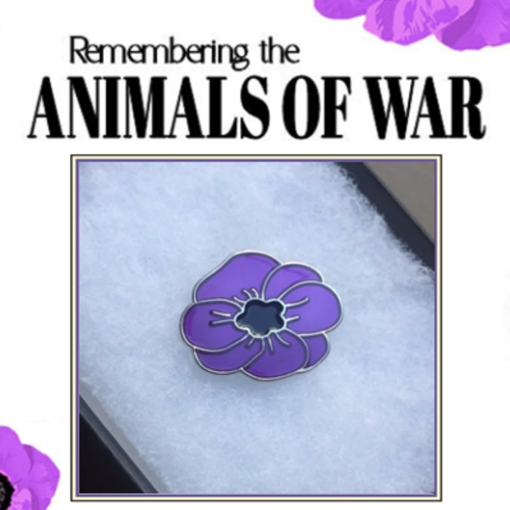 🌺60% Proceeds go to The Legion Poppy Fund🌺